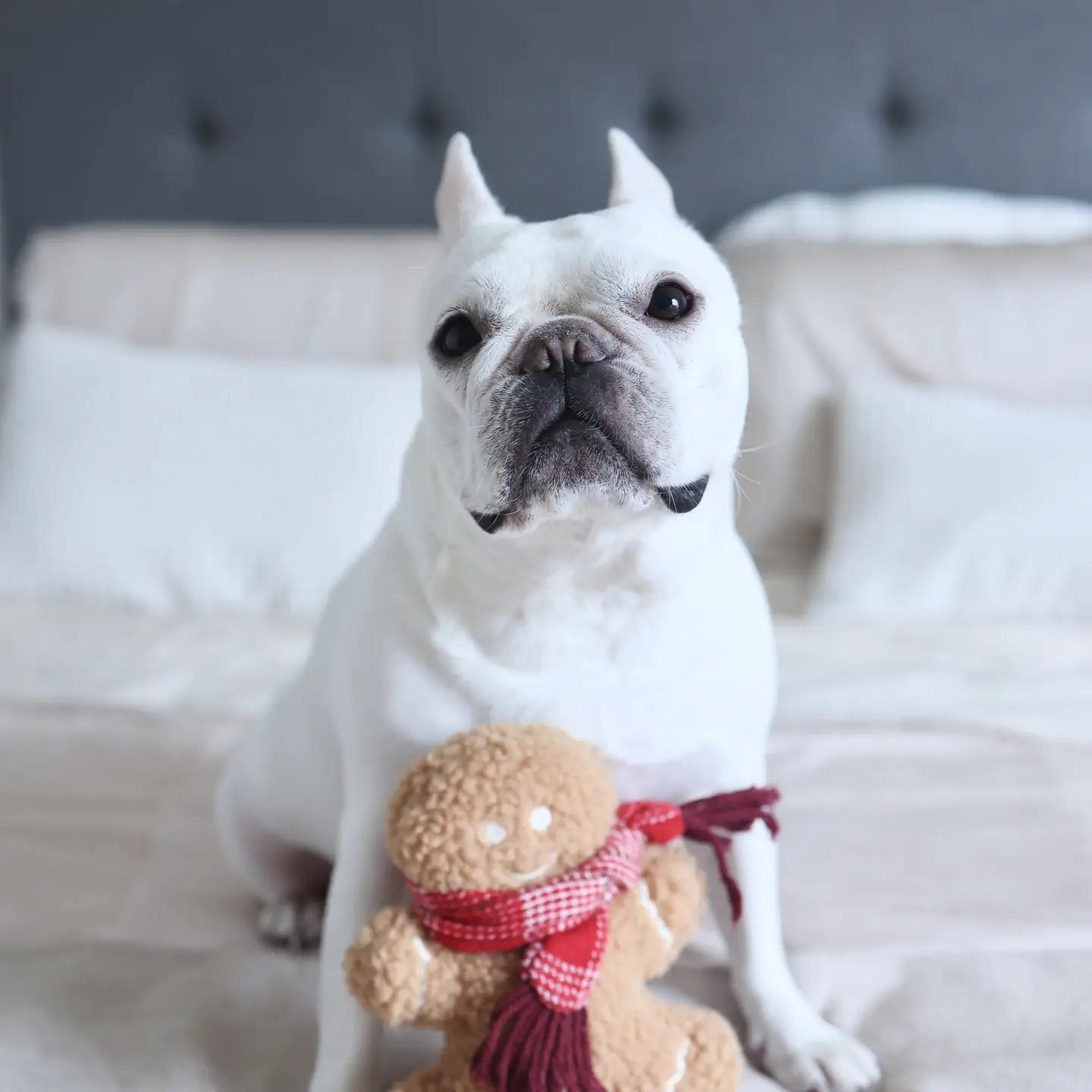 Pain d'épice de Noel