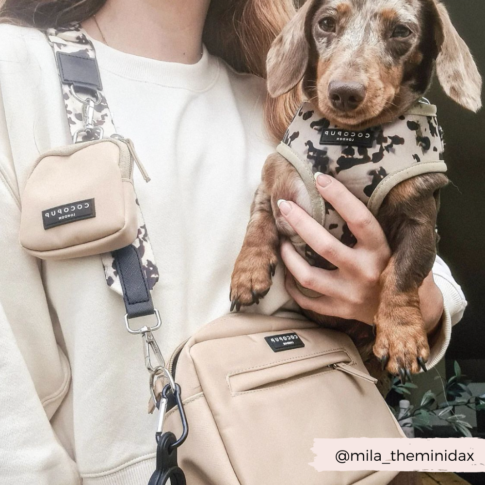 Sac de promenade pour chien beige