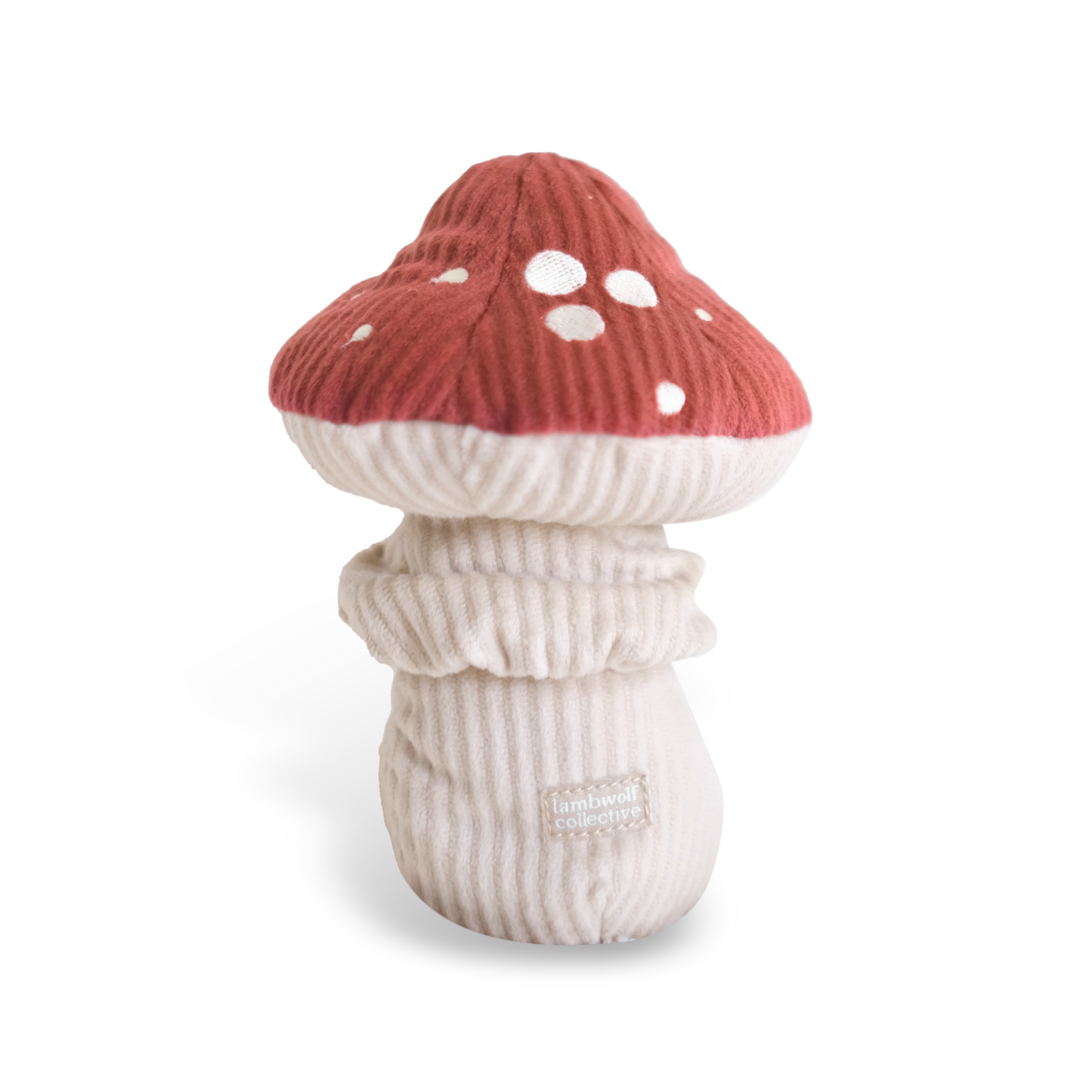 Champignon de fouille