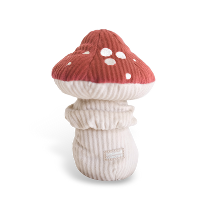 Champignon de fouille