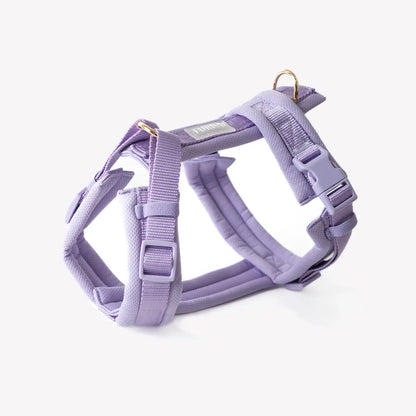Harnais comfort violet