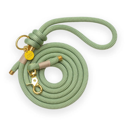 Laisse matcha multi-positions