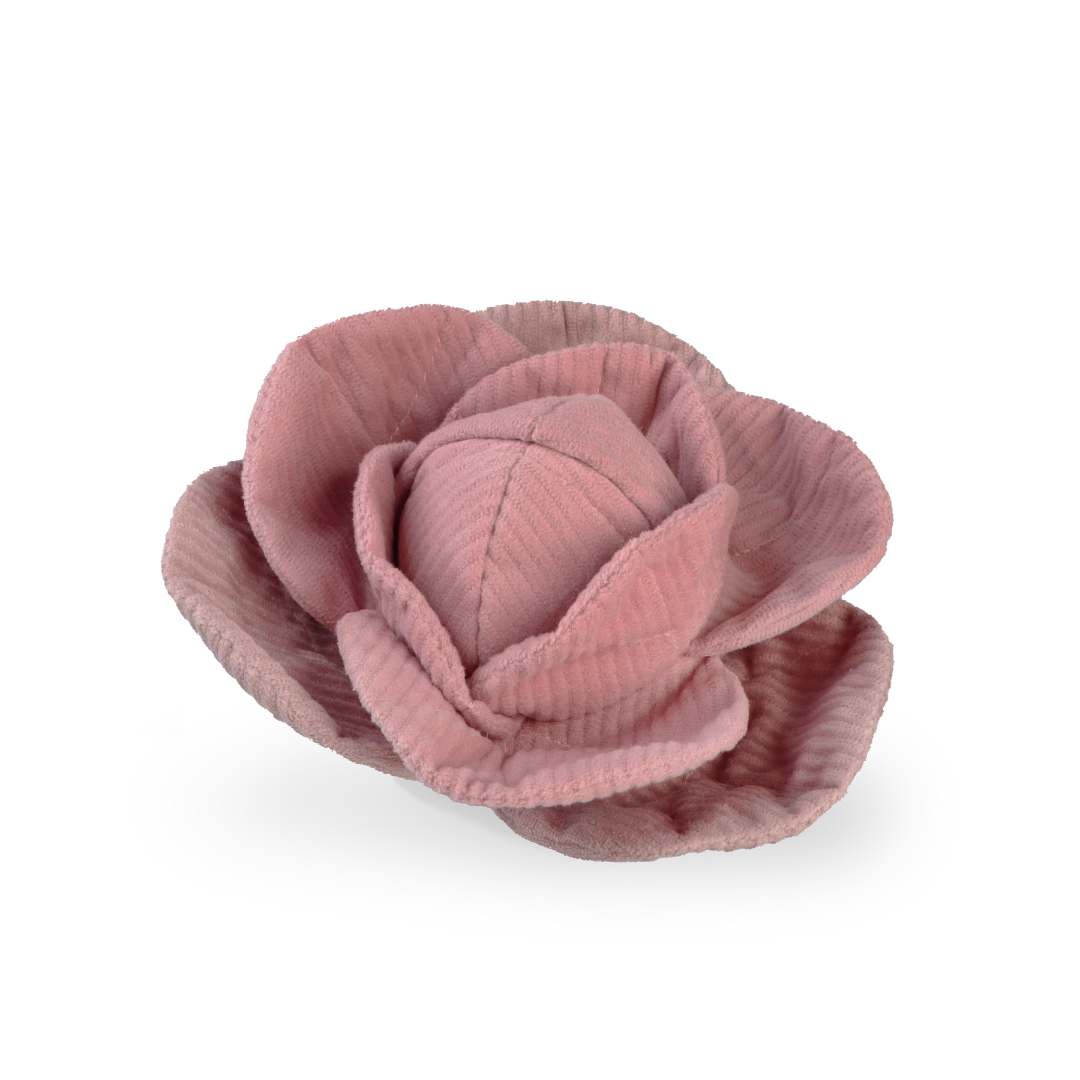 Chou fleur de fouille rose