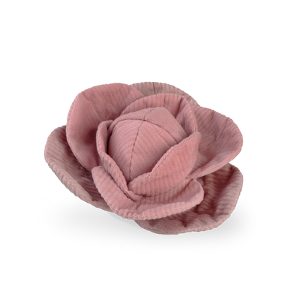 Chou fleur de fouille rose