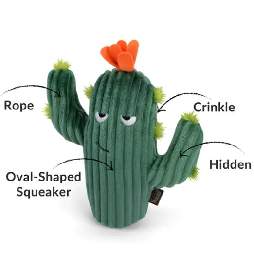 Cactus épineux