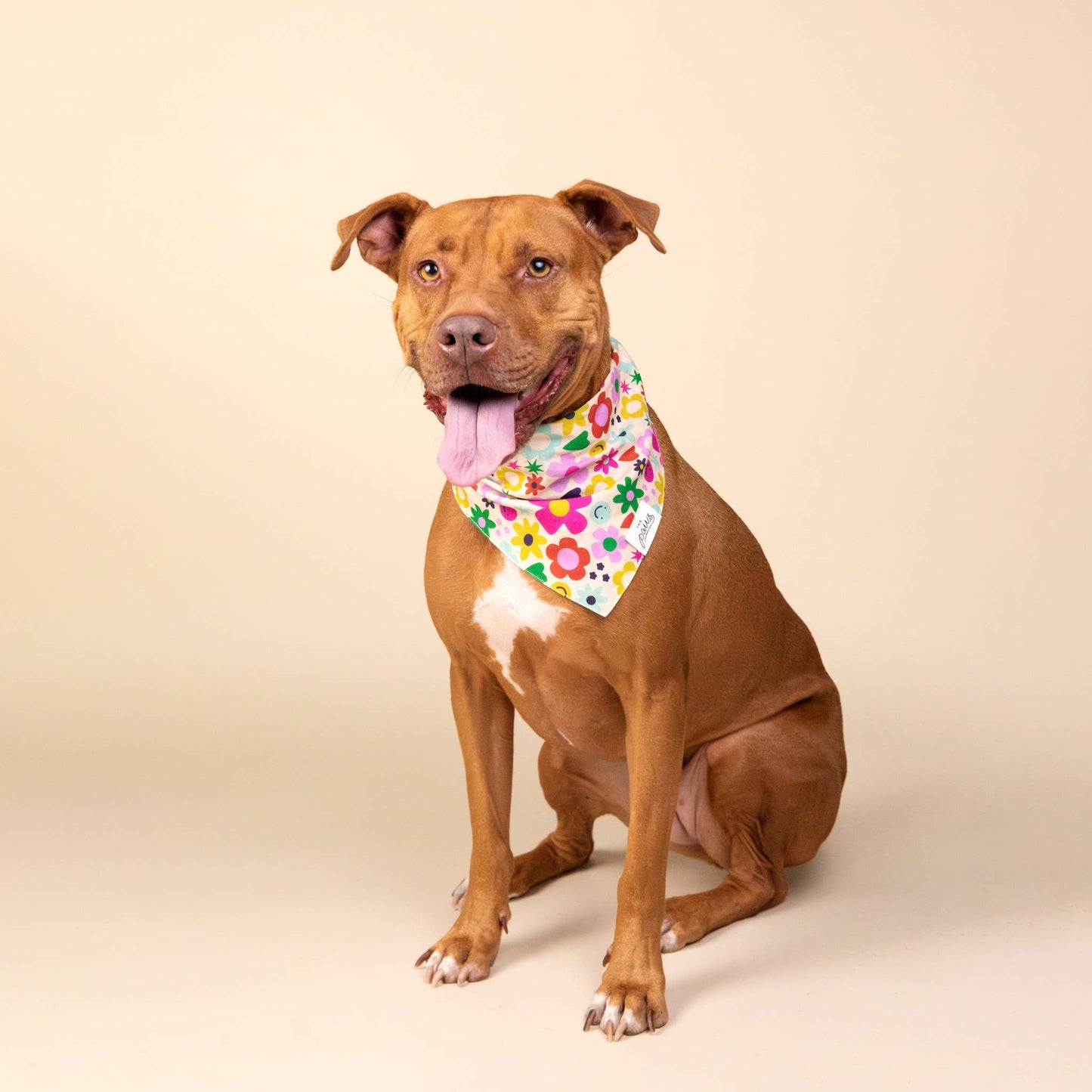 Bandana Summer Flower