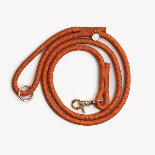 Laisse simple terracotta