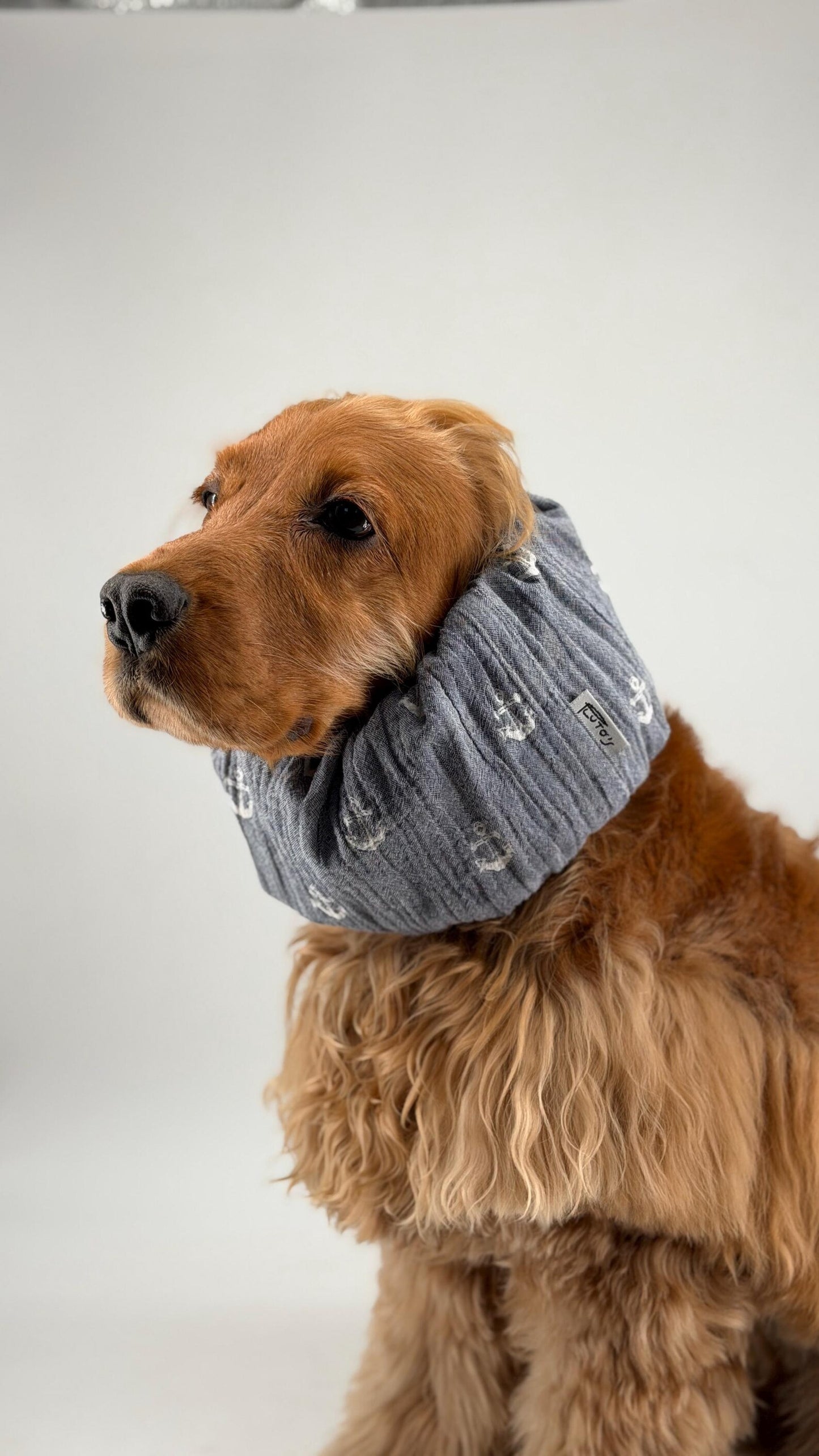 Snood gris avec encre