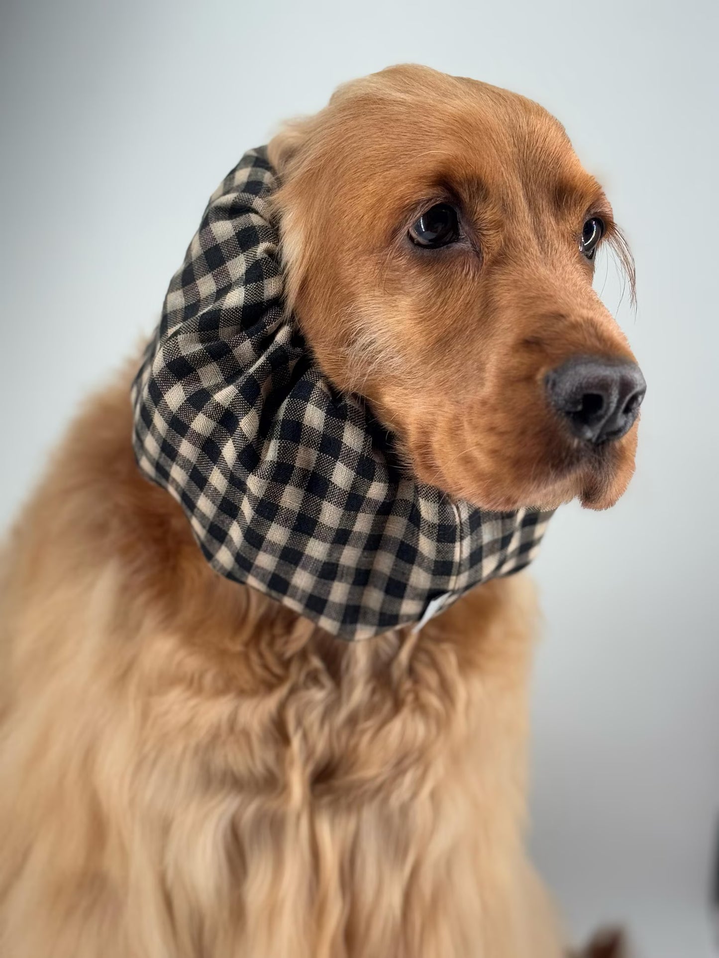 Snood à carreaux noir et jaune