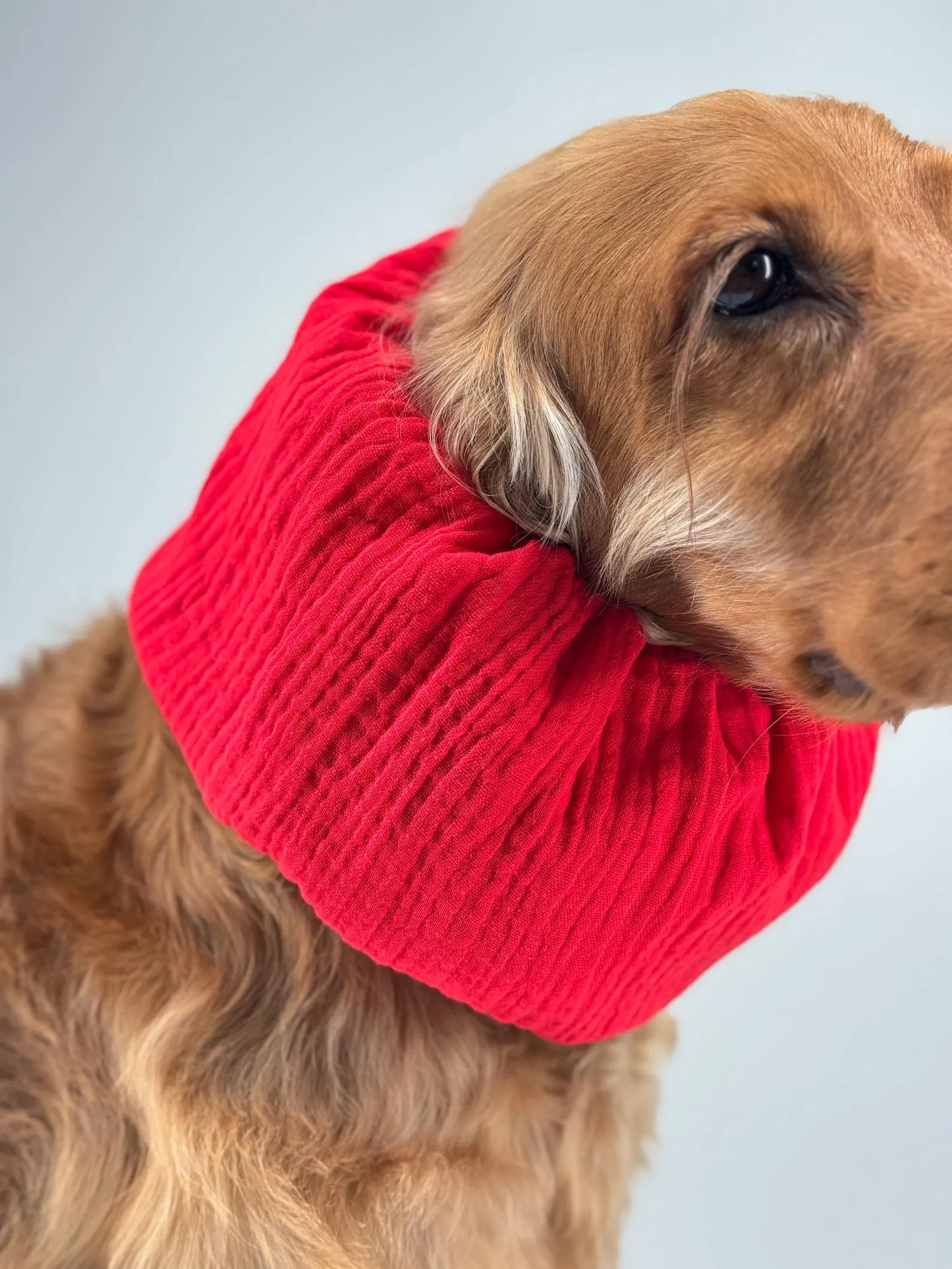 Snood rouge en gaz de coton