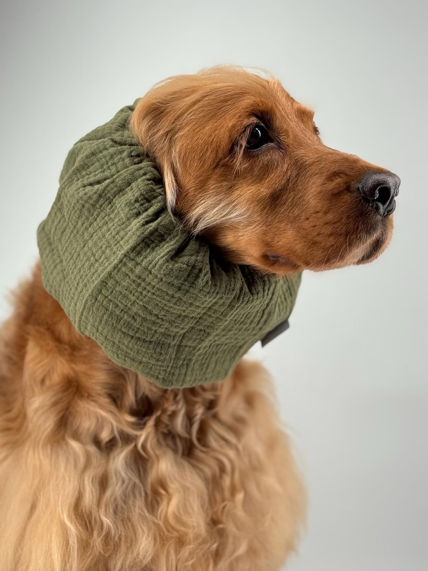 Snood kaki en gaz de coton