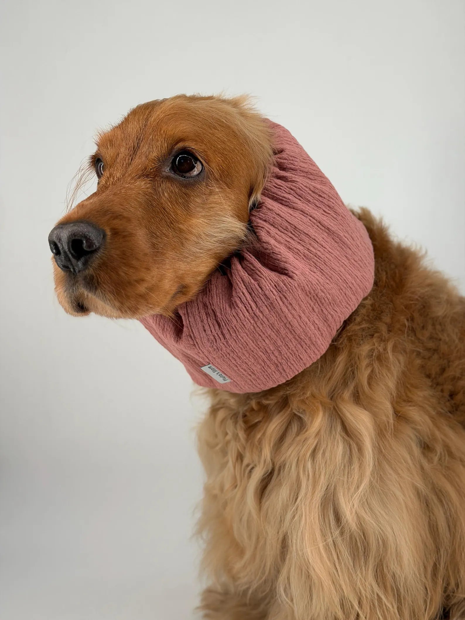 Snood rose poudré en gaz de coton - Frankie et Suzie