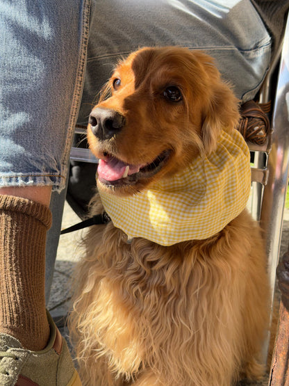 Snood jaune vichy - Frankie et Suzie