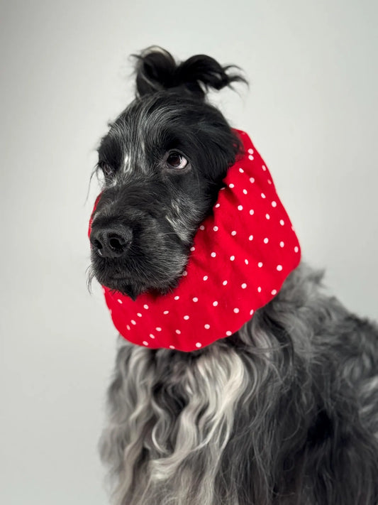 Snood rouge à pois blanc