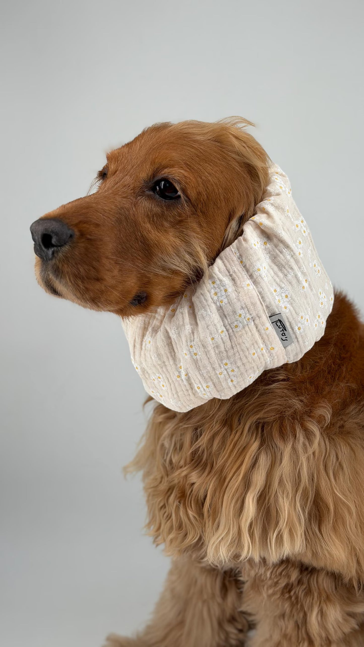 Snood gaz de coton beige fleurs