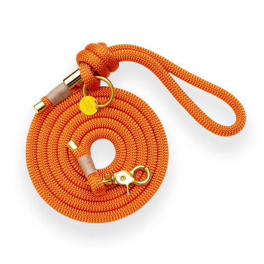 Laisse orange multi-positions