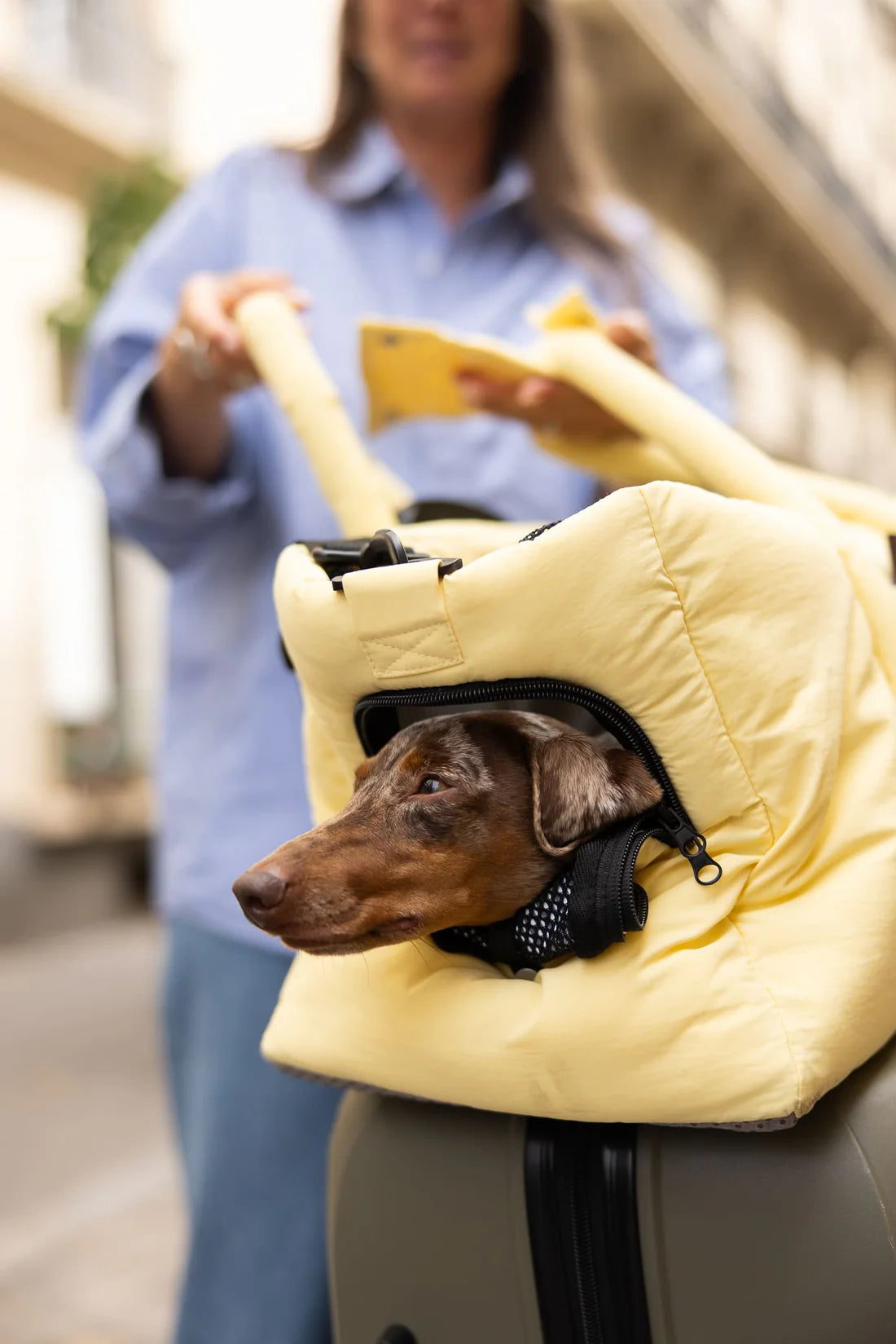 Sac de transport
