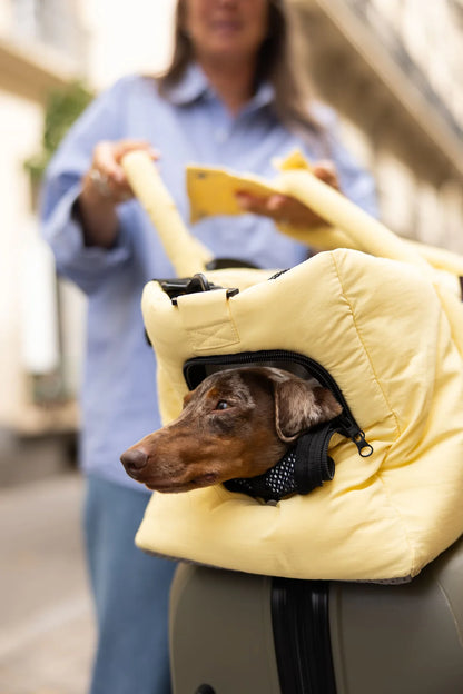 Sac de transport
