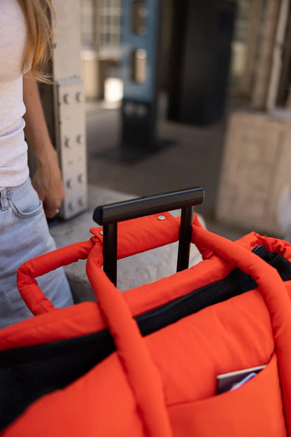 Sac de transport