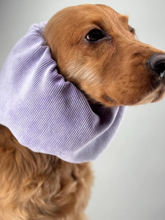 Snood lilas en velours