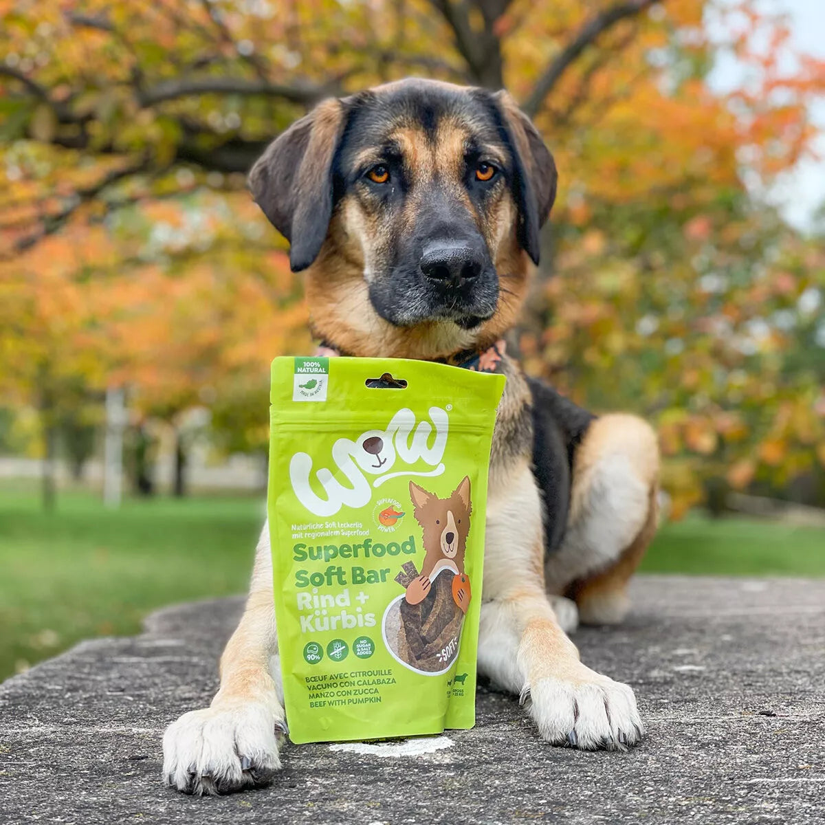 Barre de friandises boeuf et citrouille