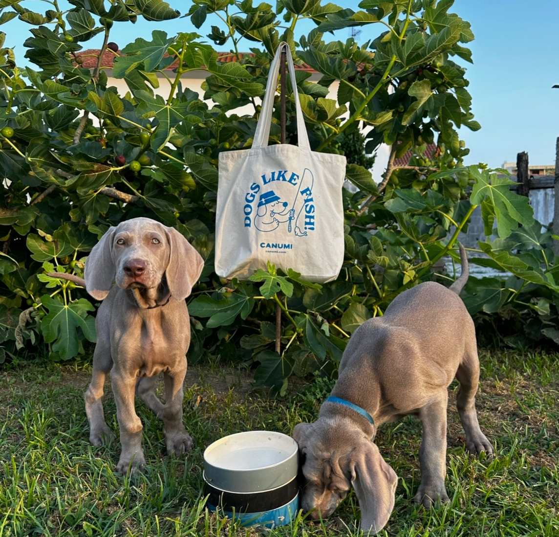 Tote bag / Sac de plage chien