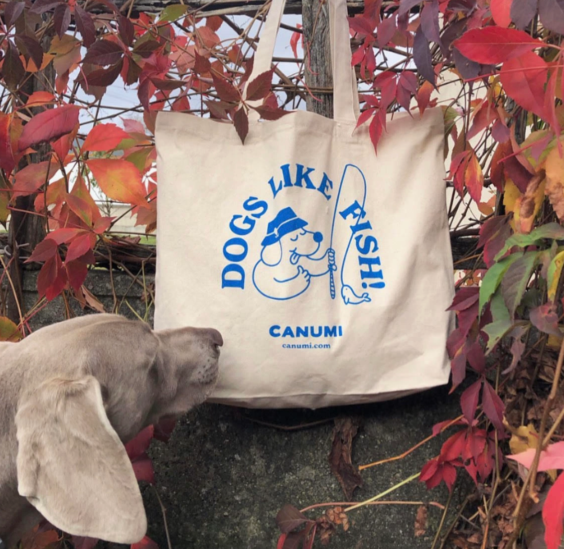 Tote bag / Sac de plage chien