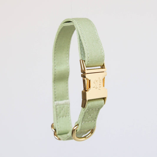 Collier Sage Green